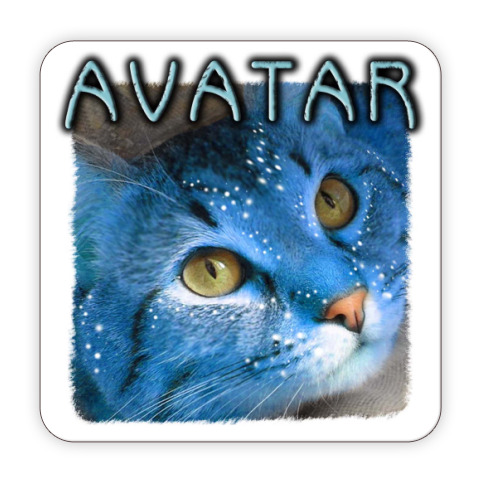 Поговорим о Кошках 21